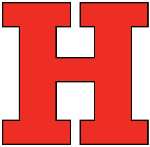 hartford hawks 1984-pres wordmark logo iron on transfers for T-shirts fabric transfer